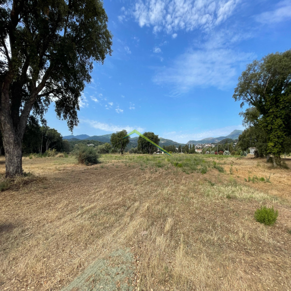 Offres de vente Terrain Folelli 20213
