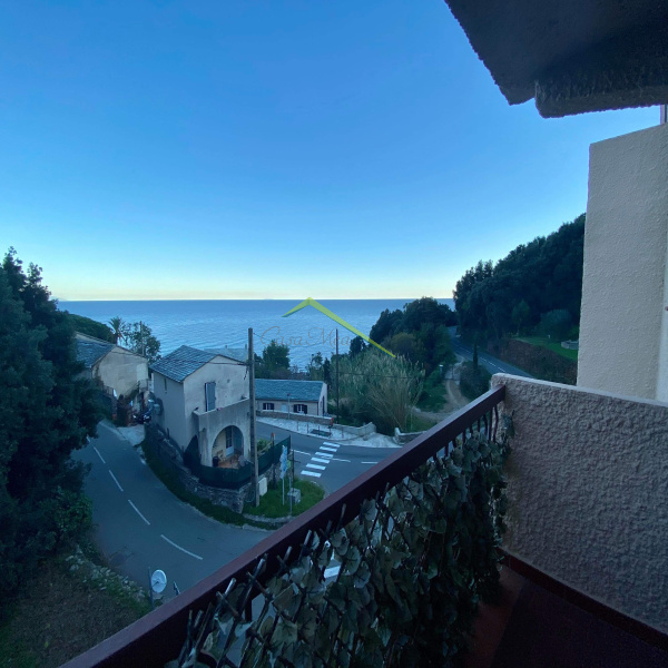 Offres de location Appartement Erbalunga 20222